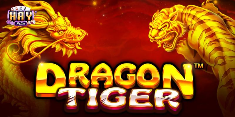 Tổng hợp các chiến thuật và cách chơi rồng hổ được chuyên gia đánh giá cao 